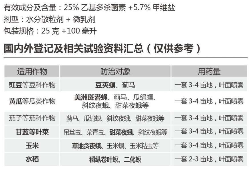 安爾治