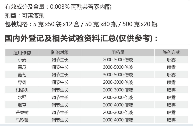 龍增美